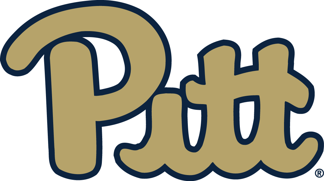 Pittsburgh Panthers 2016-2018 Alternate Logo DIY iron on transfer (heat transfer)